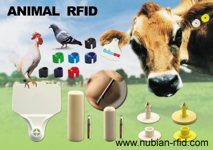 rfid animal tags